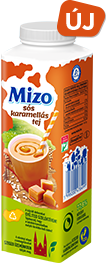 MIZO SÓS KARAMELLÁS TEJ